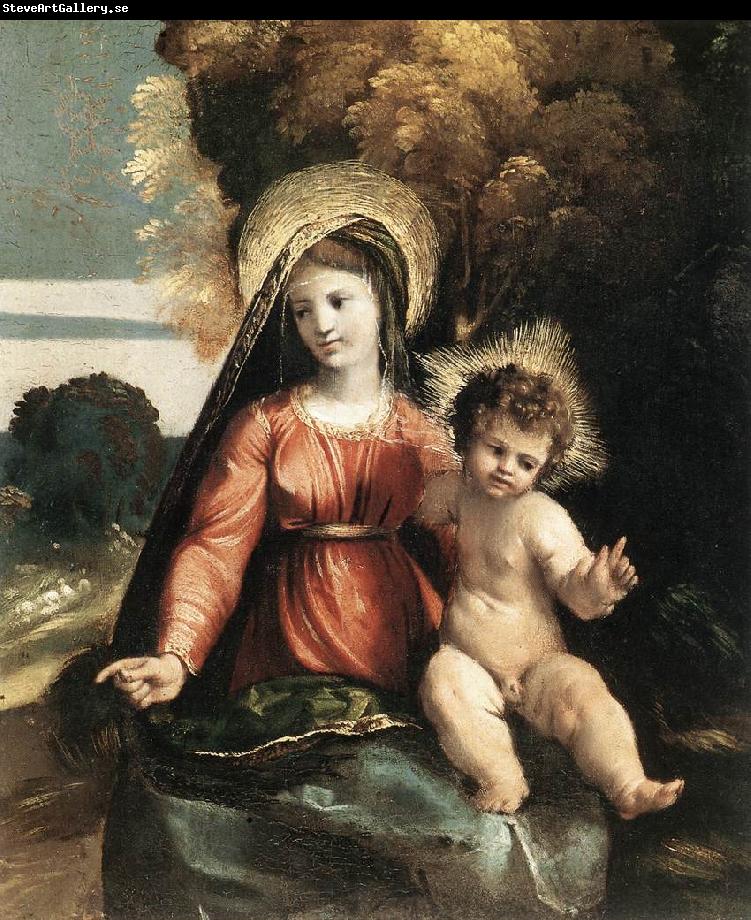 DOSSI, Dosso Madonna and Child ddfhf